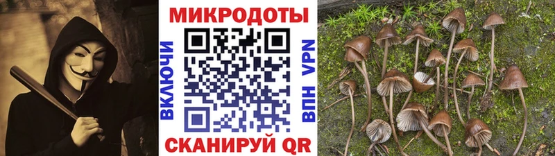 Псилоцибиновые грибы мицелий Монино